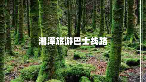 湘潭旅游巴士線(xiàn)路