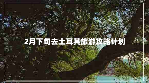 2月下旬去土耳其旅游攻略計劃