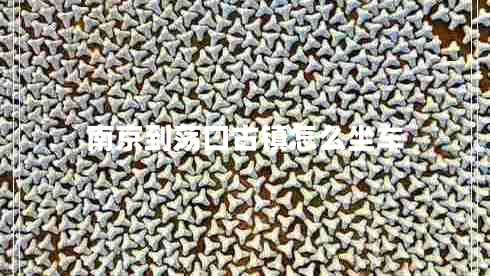 南京到蕩口古鎮怎么坐車(chē)