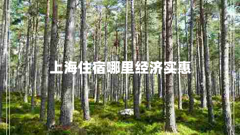 上海住宿哪里經(jīng)濟實(shí)惠