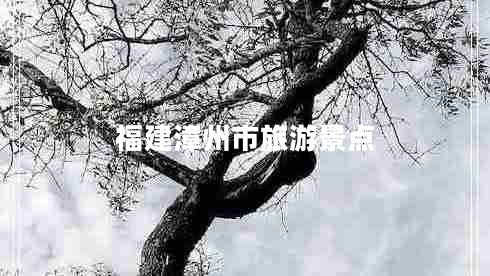 福建漳州市旅游景點