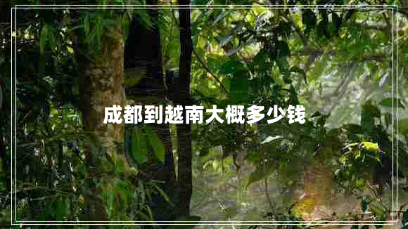 成都到越南大概多少錢(qián)