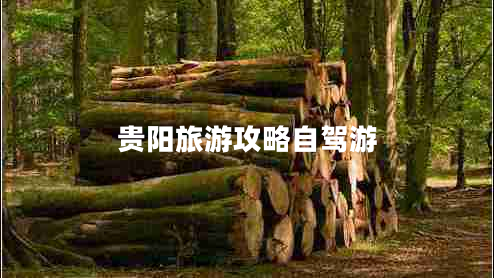 貴陽(yáng)旅游攻略自駕游