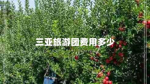 三亞旅游團(tuán)費用多少