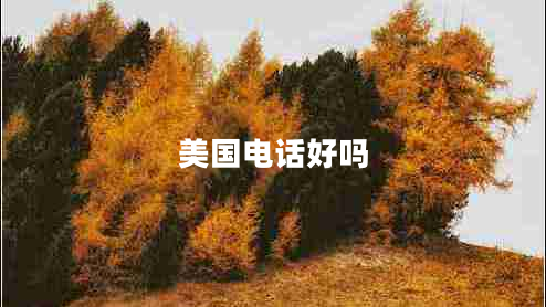 美國電話(huà)好嗎