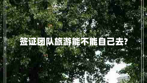 簽證團隊旅游能不能自己去?