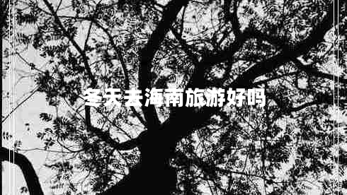 冬天去海南旅游好嗎