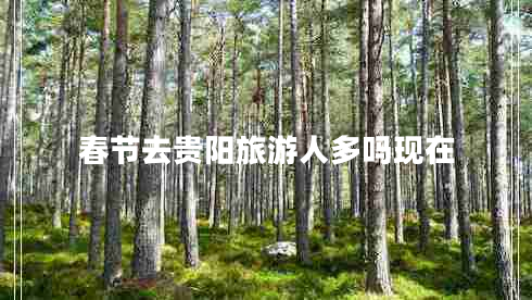 春節去貴陽(yáng)旅游人多嗎現在