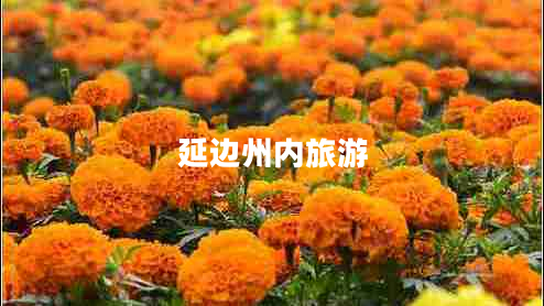 延邊州內旅游