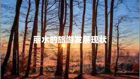 麗水的旅游發(fā)展現狀
