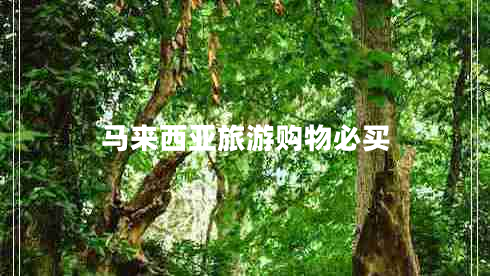 馬來(lái)西亞旅游購物必買(mǎi)
