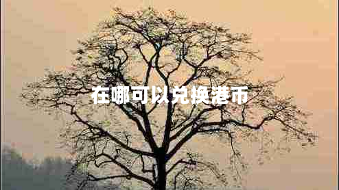 在哪可以?xún)稉Q港幣