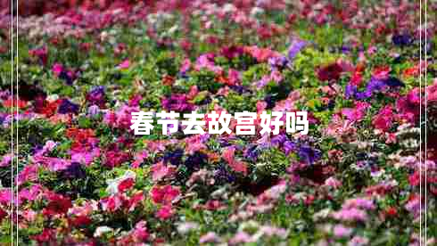 春節去故宮好嗎