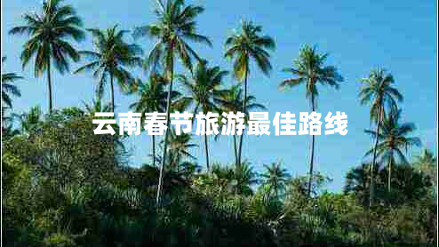 云南春節旅游最佳路線(xiàn)