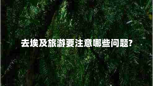 去埃及旅游要注意哪些問(wèn)題?