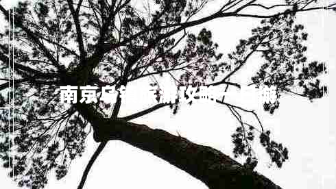 南京烏鎮旅游攻略一日游
