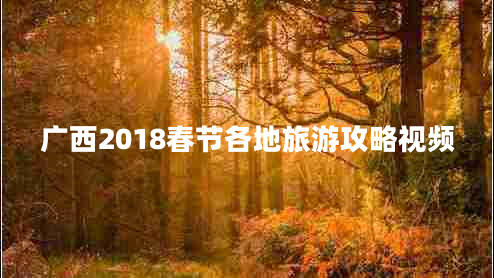 廣西2018春節各地旅游攻略視頻