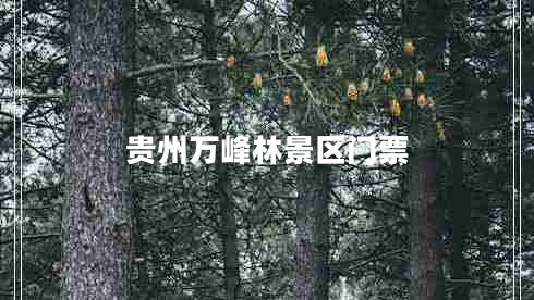 貴州萬(wàn)峰林景區門(mén)票