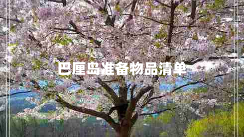 巴厘島準備物品清單