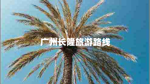 廣州長(cháng)隆旅游路線(xiàn)