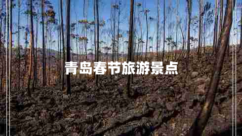 青島春節旅游景點(diǎn)