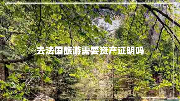 去法國旅游需要資產(chǎn)證明嗎