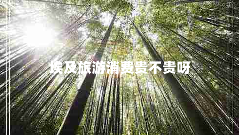 埃及旅游消費貴不貴呀