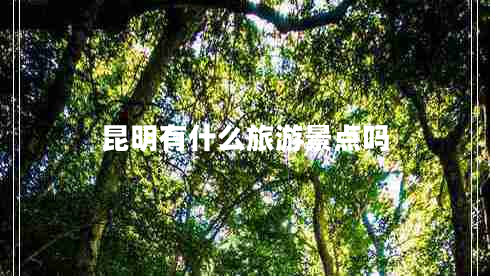 昆明有什么旅游景點(diǎn)嗎