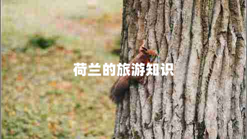 荷蘭的旅游知識