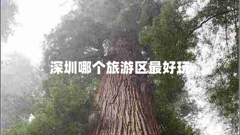 深圳哪個(gè)旅游區最好玩