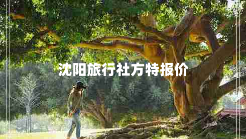 沈陽(yáng)旅行社方特報價(jià)