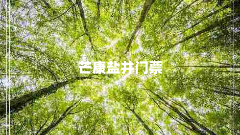 芒康鹽井門(mén)票