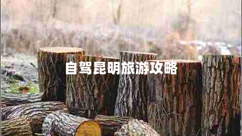 自駕昆明旅游攻略