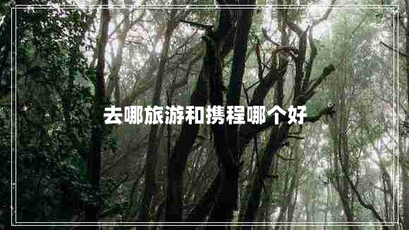 去哪旅游和攜程哪個(gè)好