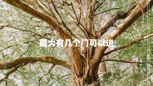廈大有幾個(gè)門(mén)可以進(jìn)