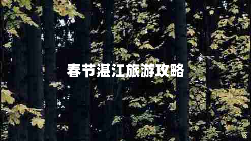 春節湛江旅游攻略