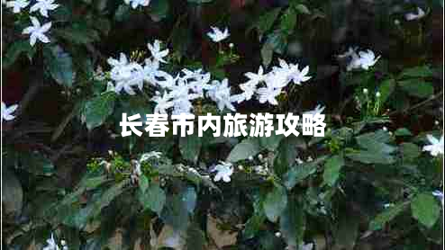 長(cháng)春市內旅游攻略