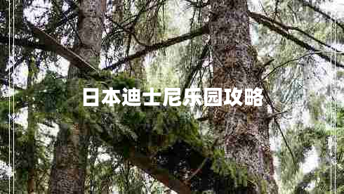 日本迪士尼樂(lè )園攻略