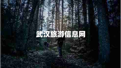 武漢旅游信息網(wǎng)