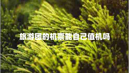 旅游團的機票能自己值機嗎