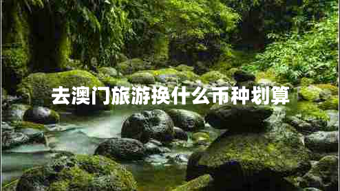 去澳門(mén)旅游換什么幣種劃算