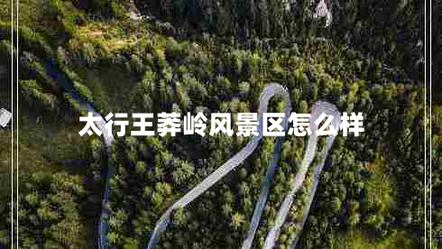 太行王莽嶺風(fēng)景區怎么樣