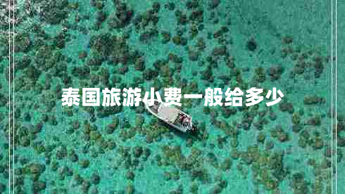 泰國旅游小費一般給多少