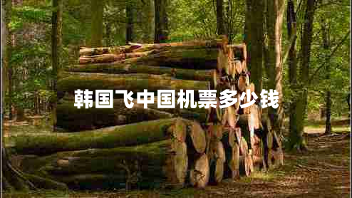 韓國飛中國機票多少錢(qián)