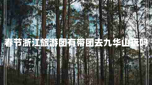春節浙江旅游團有帶團去九華山玩嗎