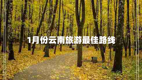 1月份云南旅游最佳路線(xiàn)