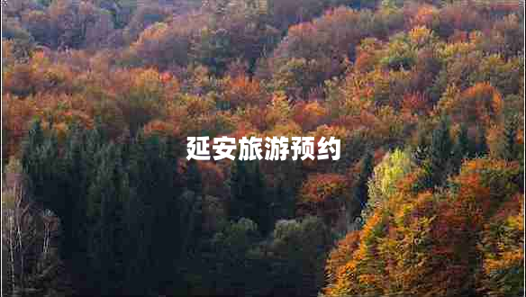 延安旅游預約