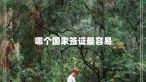 哪個(gè)國家簽證最容易