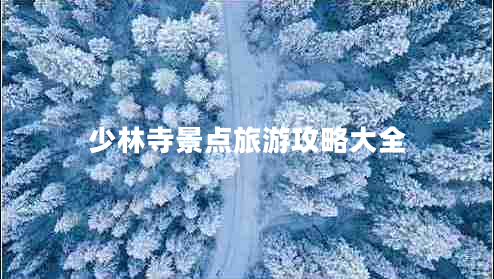 少林寺景點(diǎn)旅游攻略大全