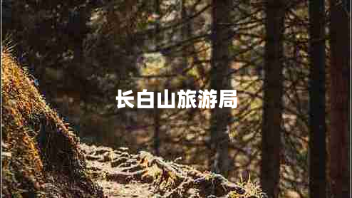 長(cháng)白山旅游局